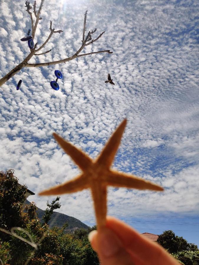 Cc'S Butik Hotel Oludeniz Exteriér fotografie