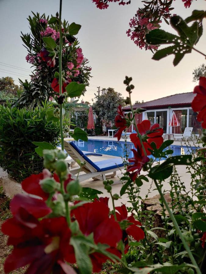 Cc'S Butik Hotel Oludeniz Exteriér fotografie